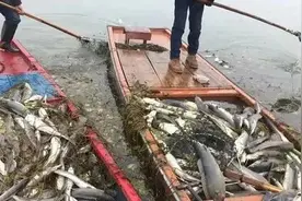 “多人往海里放生60多箱矿泉水”引争议，哪些“奇葩放生”会入刑？图片