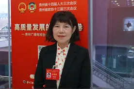 两会会客厅|袁俊彦委员：用改革创新举措抓好后续扶持工作图片