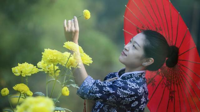 上饶再次登榜！赏秋热度不断攀升！这份“追秋”攻略请收好~