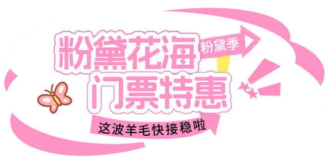 最低立省20元！南宁园博园粉黛花海生活节狂撒门票福利！