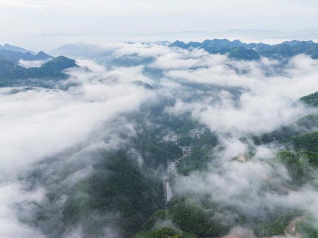 保康：云海漫山巅 泼墨绘仙卷