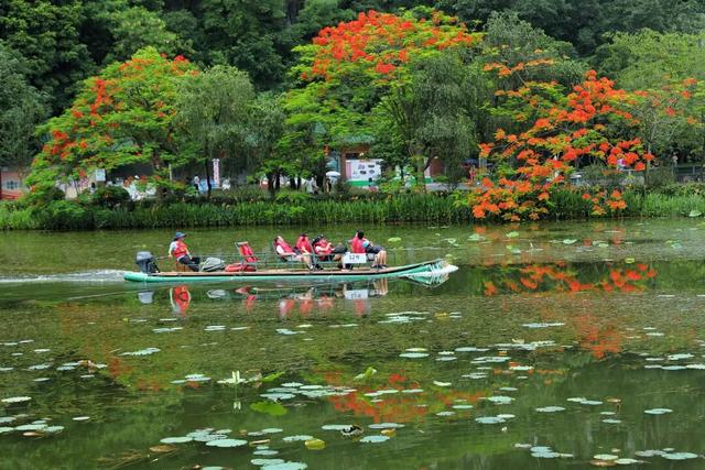 重磅福利！全运会期间，这些人可免票进入星湖景区→