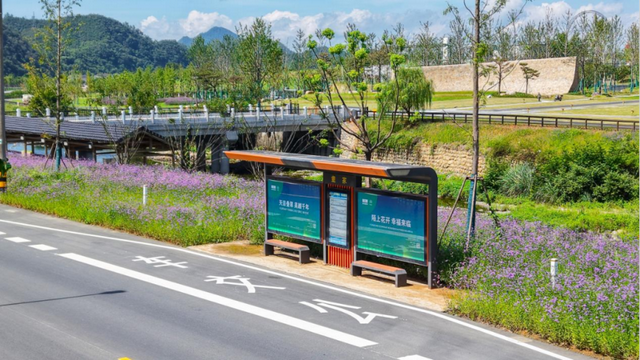 驾游浙江 | 自驾新宠！探秘天目山，这条环山公路美成仙境