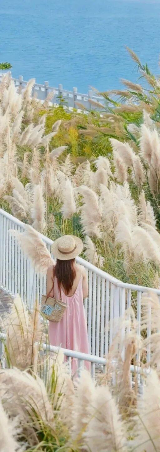 原来冬日里的江西，也会“花开成海”！