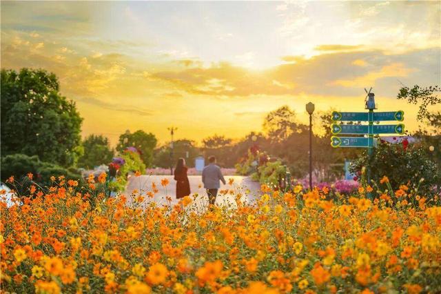 组图|黄海1号，331公里的秋日画廊