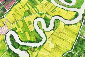 稻谷飘香 风景如画图片