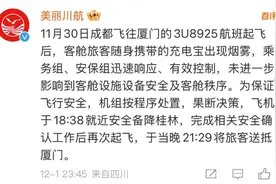 充电宝冒烟致航班备降，如何安全携充电宝乘机?图片