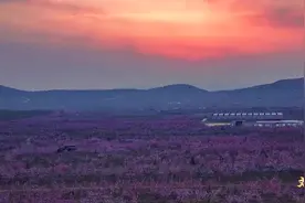 泰安肥城市：山水与人文浸润的幸福小城图片