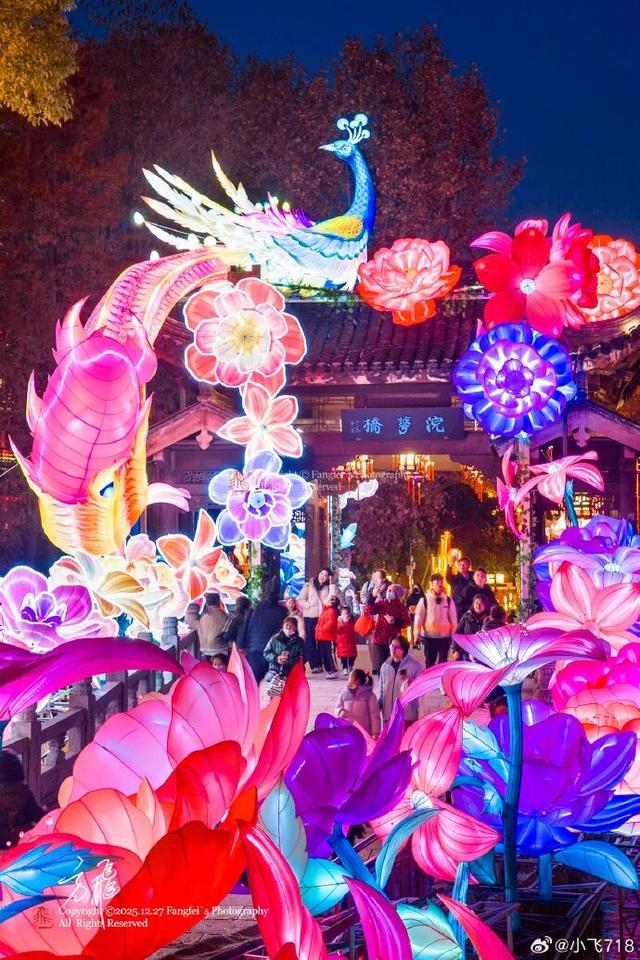 门东新“顶流”！一棵美到让全南京排队围观的树！