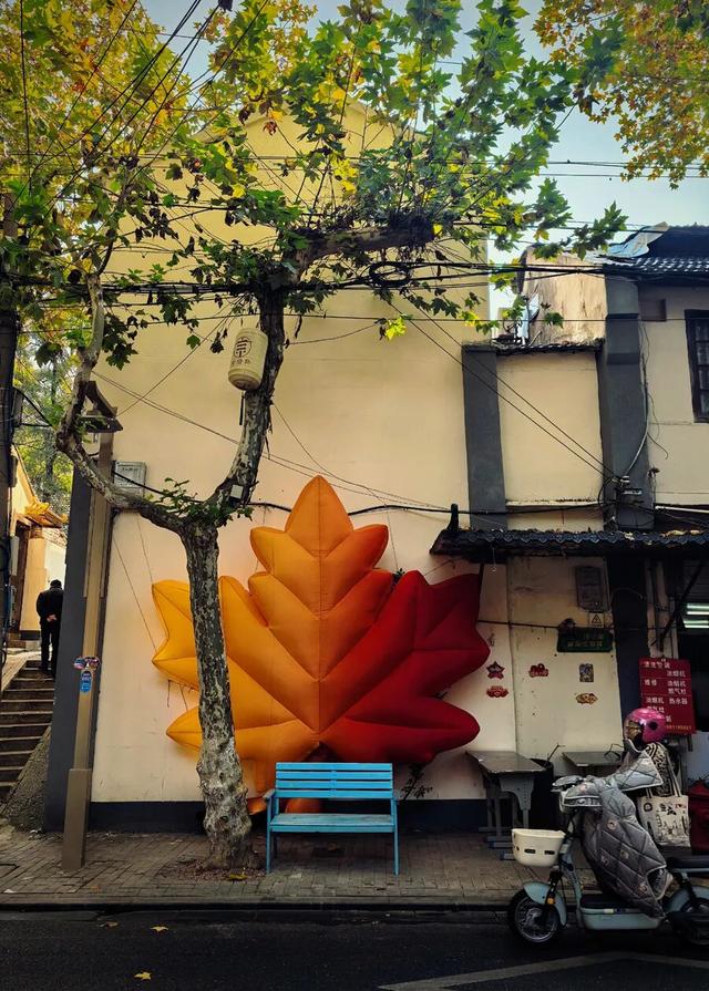 镇 江 开 启 浪 漫 模 式