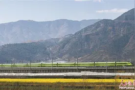 一趟复兴号动车组列车飞驰穿过油菜花海图片
