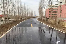 枣庄薛城：蟠龙河东大堤（临城段）改造工程圆满竣工图片