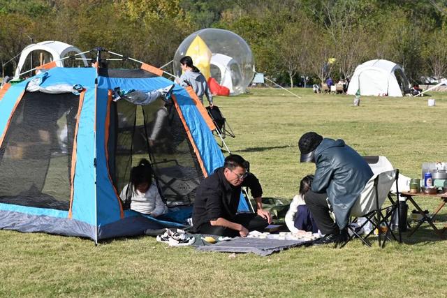 首个秋假，莲都这里有点“火”！