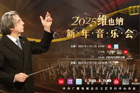 过瘾！2025年维也纳新年音乐会曲目单来了图片