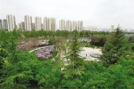 家门口实现“公园自由” 兰州不断打造服务品牌 开放百余处小游园 形成一园一景特色图片