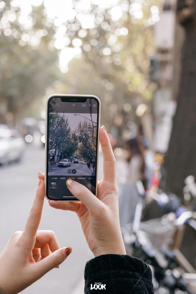 上海最美不过愚园路