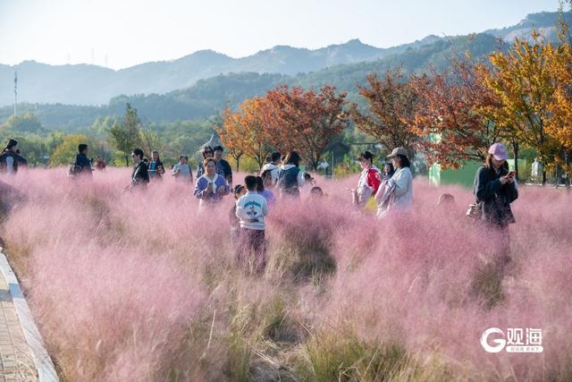 “秋日限定”上线！世博园赏秋正当时