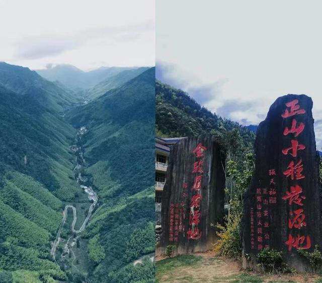 藏在武夷山深处的茶村，即将大变样……