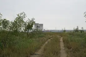 宁夏20家矿山再披“绿装”  累计建成绿色矿山54家图片