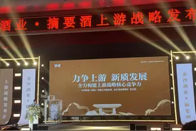 金沙酒业董事长范世凯：将调整年初营收增长40%的目标图片