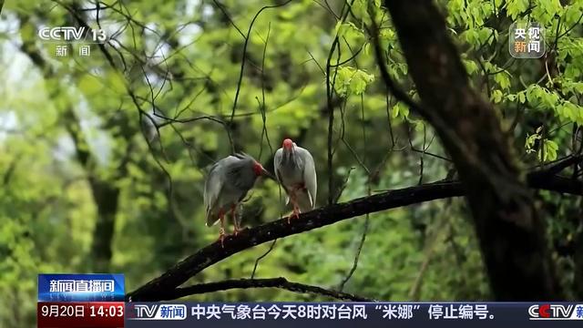 “过境游”变“深度游”，为何我国入境游超预期增长？