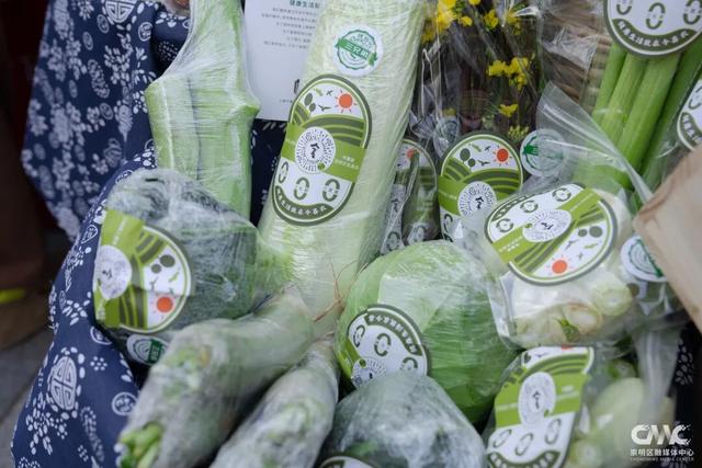 崇明文旅推介嘉年华亮相浦东前滩，诚邀市民来崇过年！