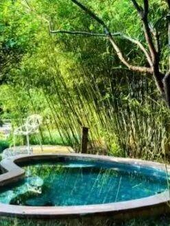 ҈热҈ 热҈ 热҈ ！洛阳这里怎么热起来了