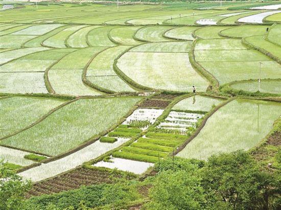 大理剑川沙溪何以成为理想旅居地
