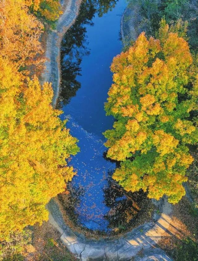 溪如画，影成诗……被舜耕山的初冬美景治愈了！