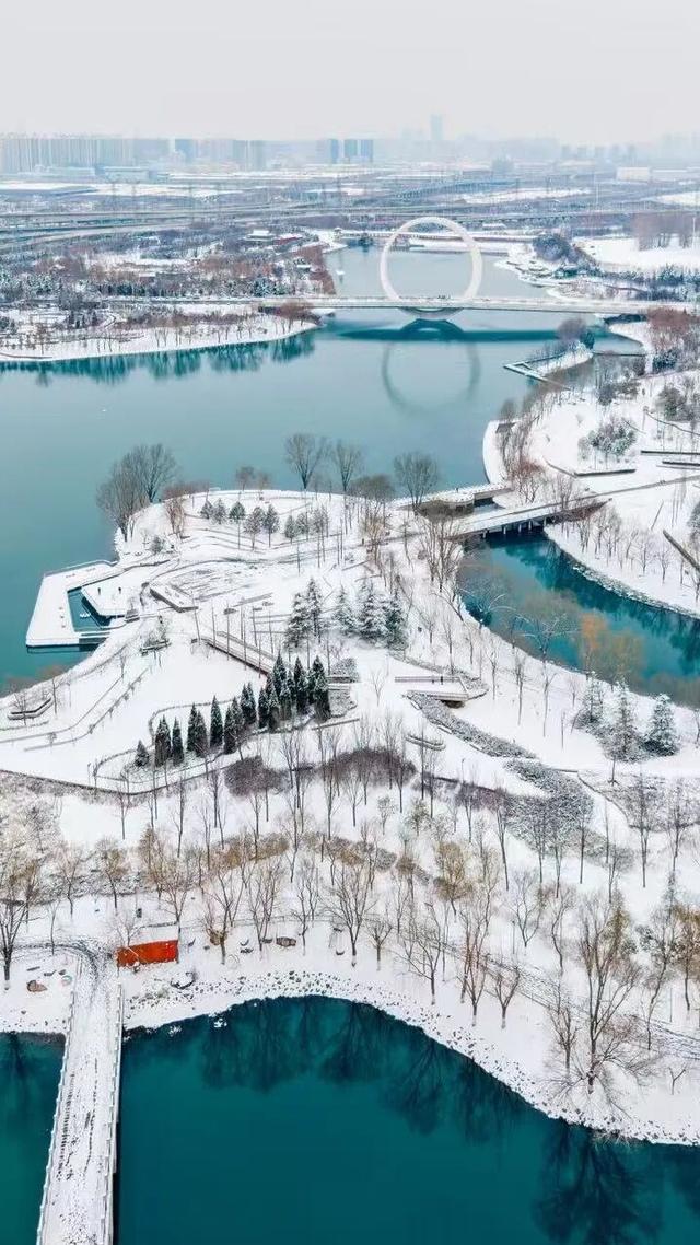 河南下雪冲上热搜！解锁各地冰雕玉砌的浪漫密码……速戳绝美现场→