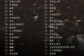 刀郎巡回演唱会济南站歌单来了，开场曲是《沂蒙山小调》图片