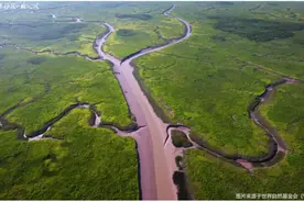 世界遗产社区·崇明富圩典范图片