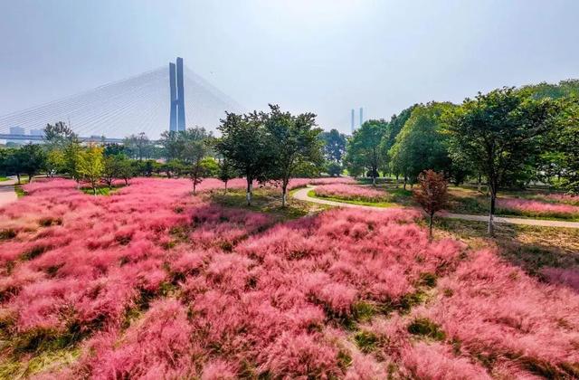 荆州风景地图：从古城墙到浅山，解锁5处限定美色