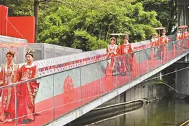 深圳婚姻登记新体验：上山入海进公园图片