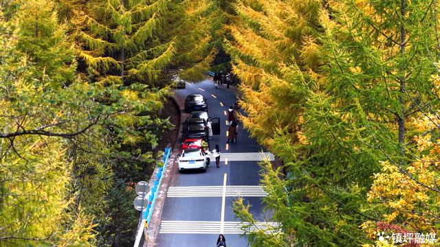 陕西镇坪县：化龙山开启“油画模式” 赏秋正当时