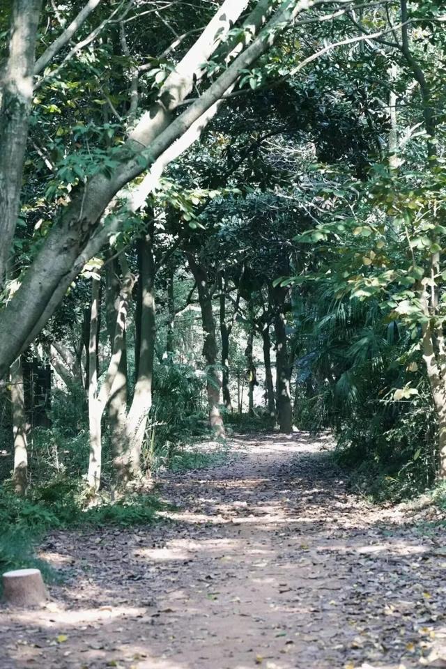 新津人速藏！冬日公园晒太阳的神仙去处