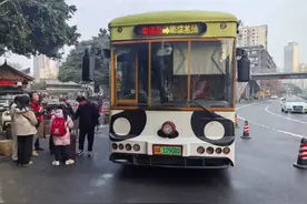 春节前上新！市区无缝衔接熊猫基地 这8条公交线带你去看花花图片