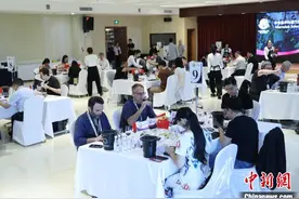 18国葡萄酒在宁夏贺兰山东麓同台“对决”图片