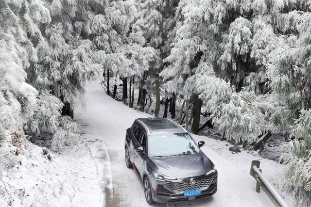 以雾凇为笔 绘武陵冬韵