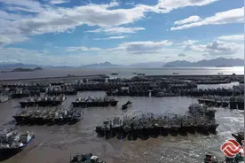 霞浦713艘渔船全部在港锚泊避风图片