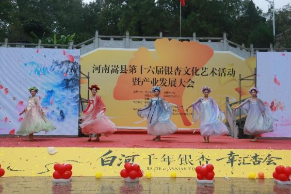 嵩县第十六届银杏文化艺术活动暨产业发展大会启幕