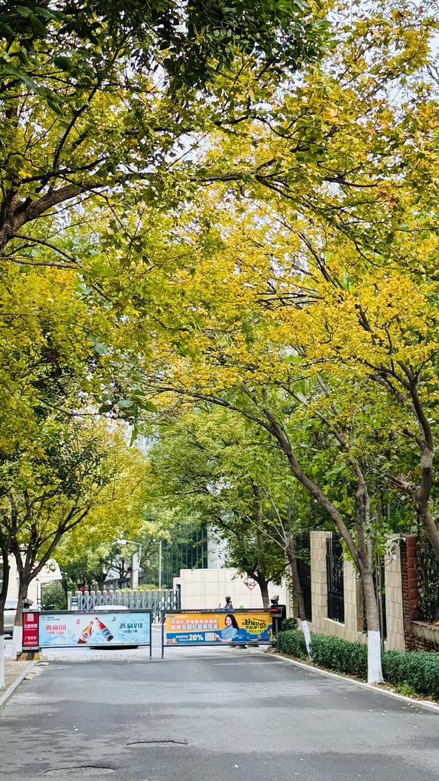 新视界｜静谧而美丽！济南的秋天美景欣赏