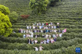 浙江：茶乡春日特色文旅新场景图片