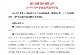 V观财报｜骆驼股份：一季度净利润同比预增43.15%-63.47%图片