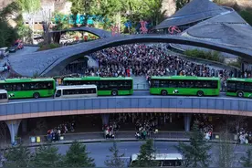 川观评论 | 九寨沟的调度能力就是“宠客”手段图片