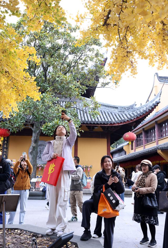 美景叠加禅意：龙华寺成为上海热门赏秋胜地
