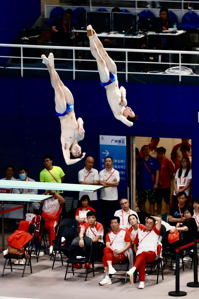 十五运会跳水比赛今日将决出两金：广东队全红婵、谢思埸双双进入决赛