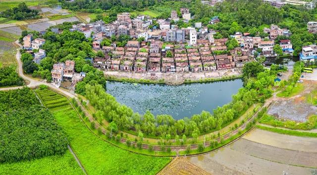 跟着村歌游增城！这个深秋，天籁乡音开启美好荔乡之旅