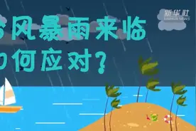 台风暴雨来临 如何应对？图片