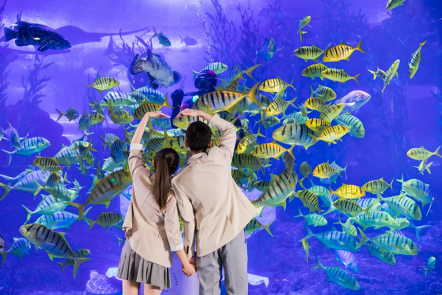 【跨年游奥帆 马年交好运】来奥帆跨年！欢乐持续不停歇！超多玩法唤醒你的新年“多巴胺”～